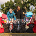 Kennel FINNSKY 