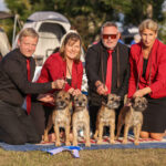 Kennel BJÖRSHULTS